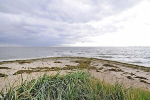 A beach with seaweed-covered sand and overcast sky. - Gutshaus Zicker in Garz (Garz)