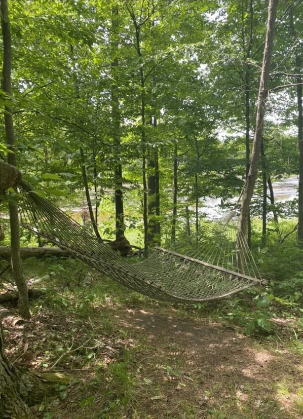 A hammock in a forested area with trees and a river in the background.