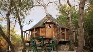 A wooden cabin with a balcony, surrounded by trees. - Cabane : île aux Canets, Thoureil, Maine & Loire (Gennes-Val-de-Loire)
