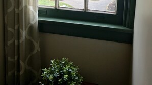 Una finestra con vista su una zona residenziale, una pianta in vaso su un tavolo e una tenda a motivi.