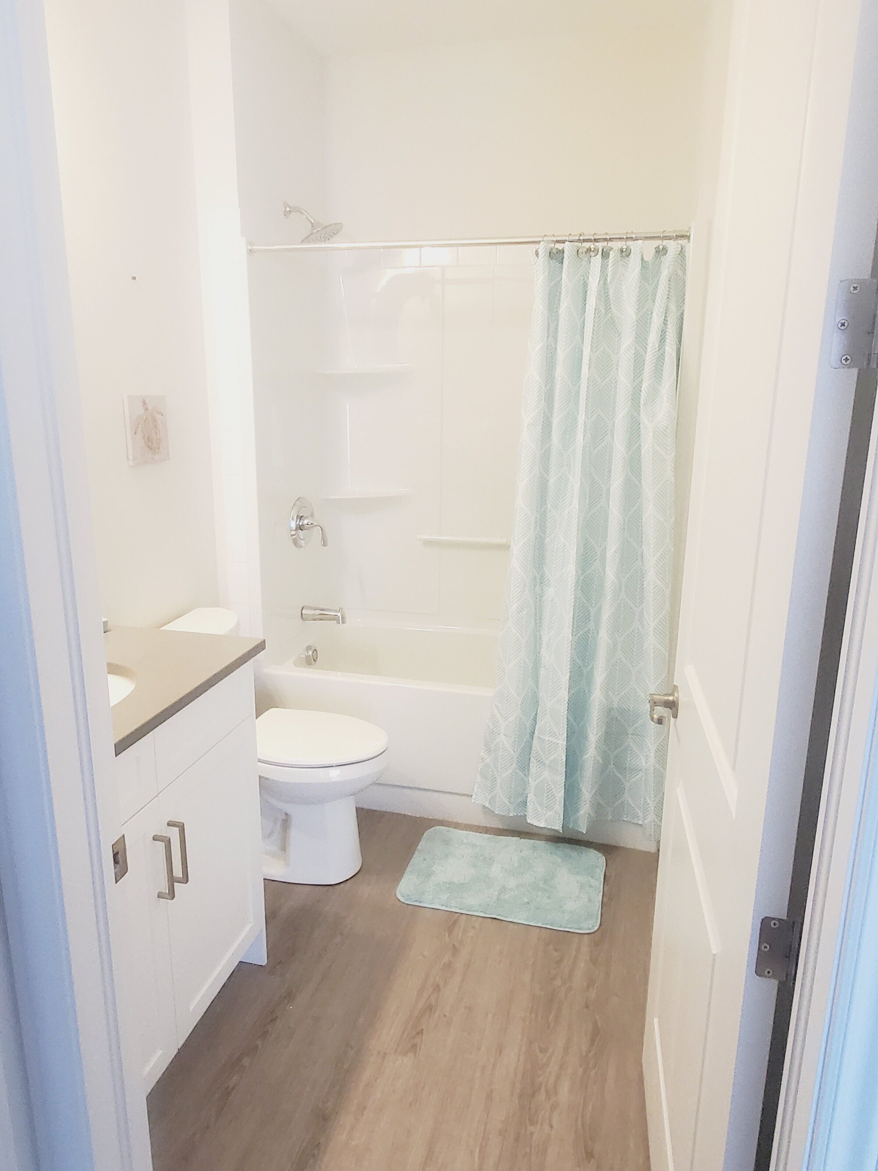 Bathtub, hair dryer, toilet paper