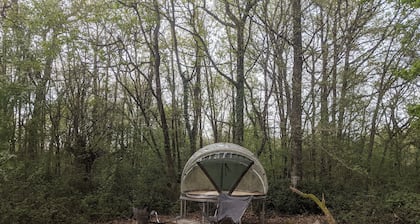 Star dome: Arnette au Thoureil, Maine & Loire
