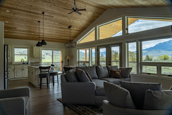 Smart TV, fireplace, books