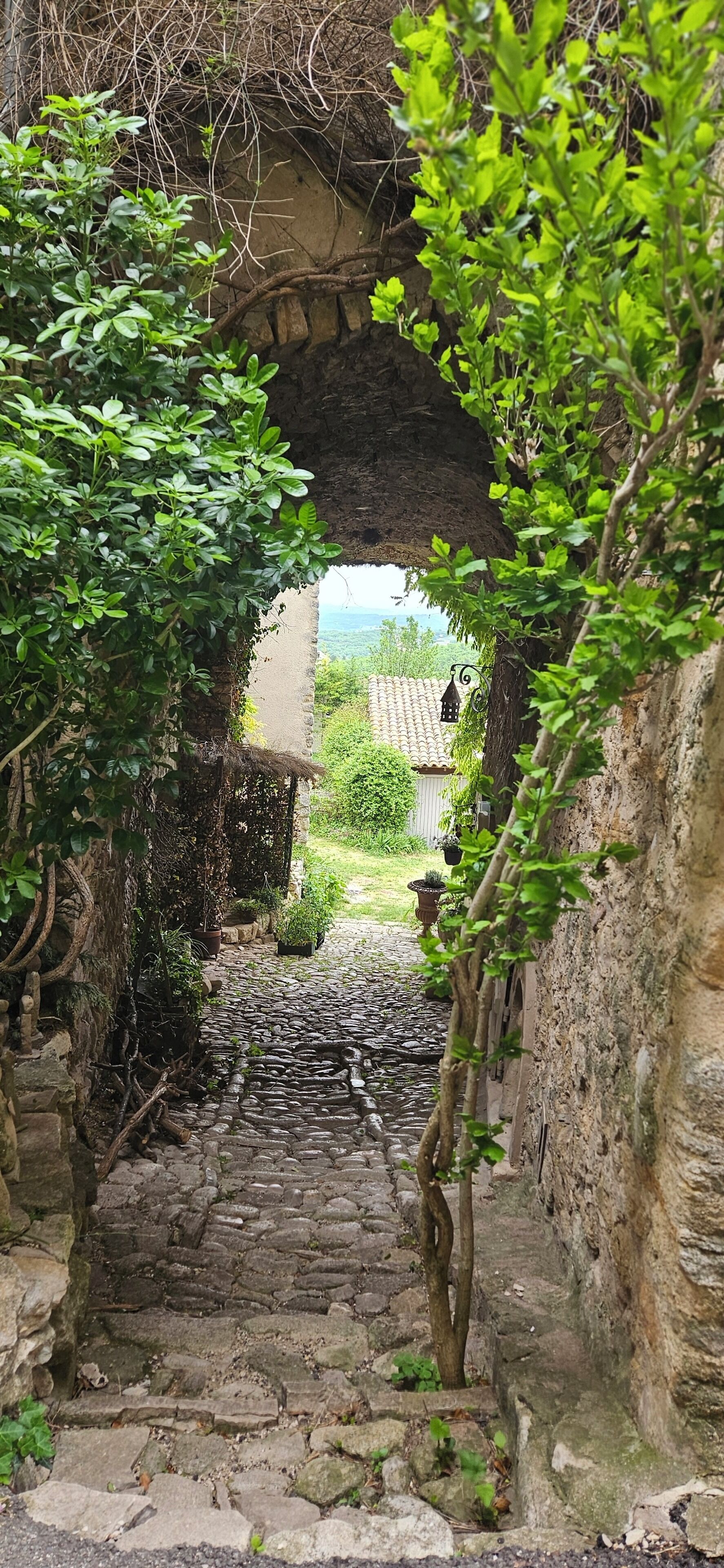 Parco della struttura