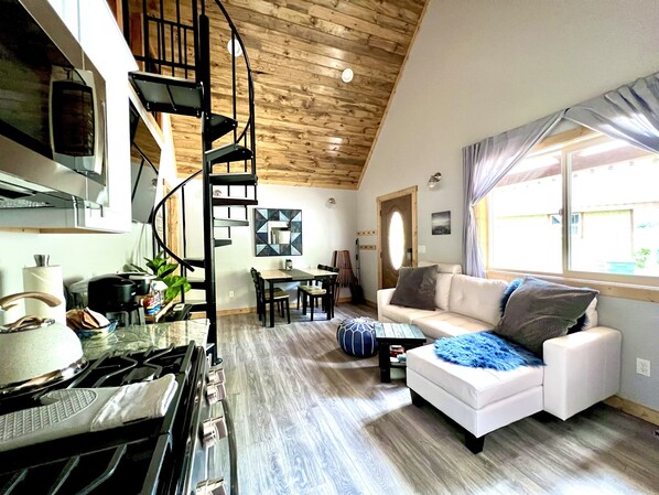 تلفزيون ذكي، مدفأة، كُتُب، مكتبة موسيقى