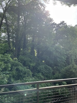 Escape to a serene forest retreat surrounded by lush greenery and tranquil surroundings.
