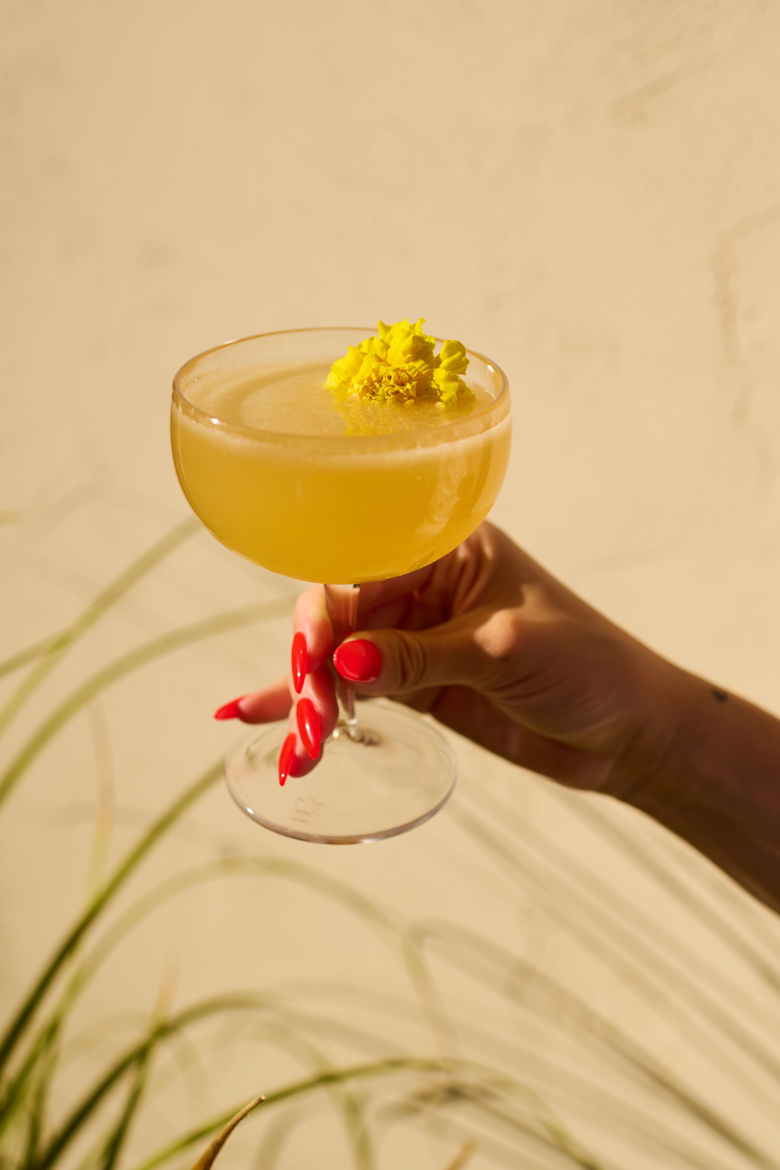 A hand holding a cocktail glass with a yellow drink and a garnish.