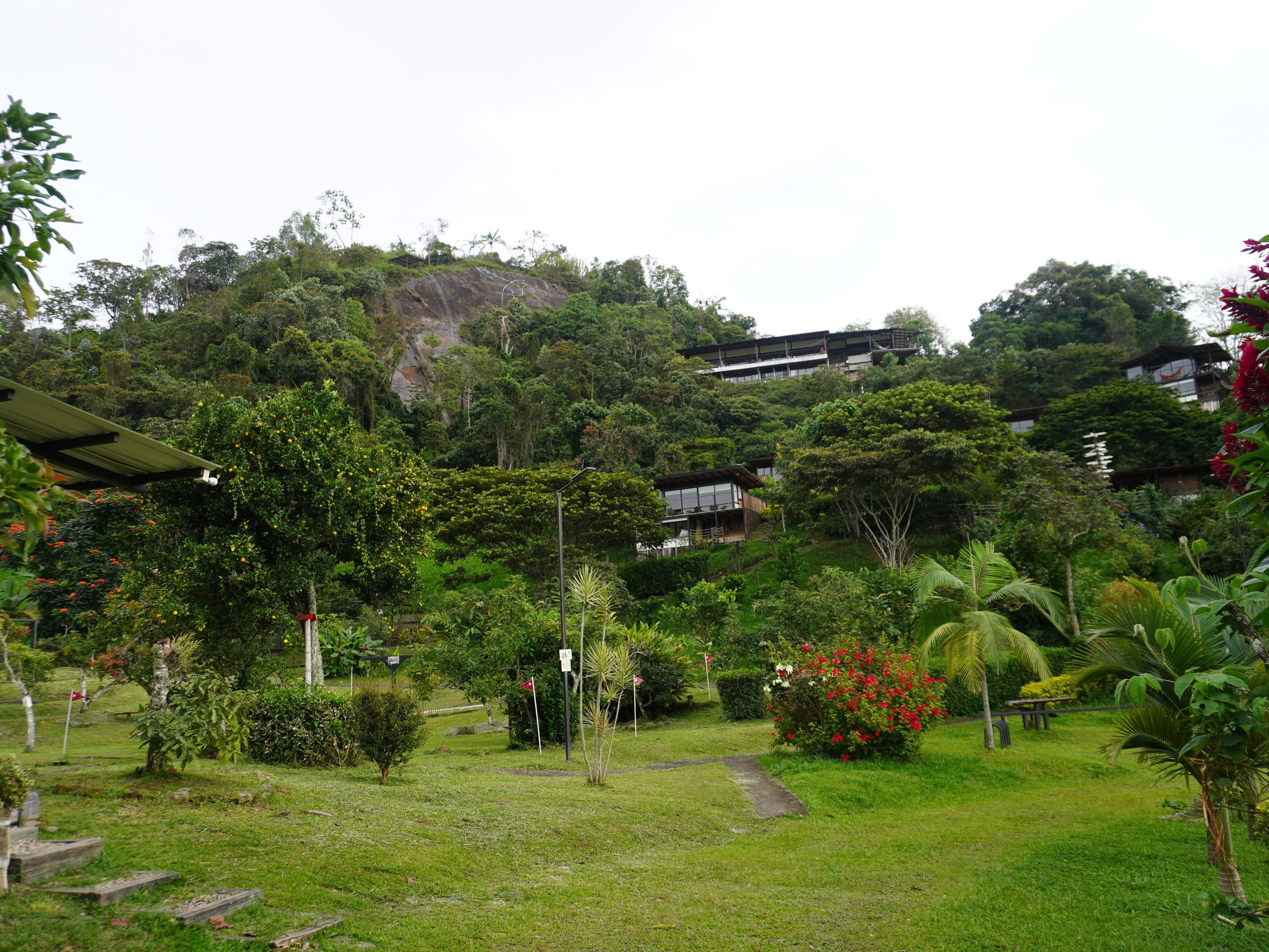 A lush garden with a pathway leading to a building with multiple floors, surrounded by dense greenery and a hill in the background.
