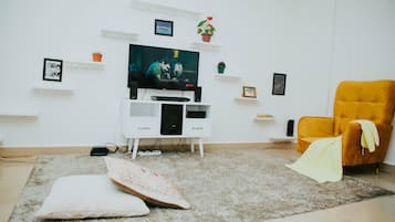 Tv, bøger, musikbibliotek, stereoanlæg