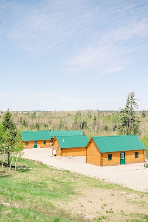 Exterior - #28 - Flagpole View Cabins - King Plus Cabin (Columbia Falls)