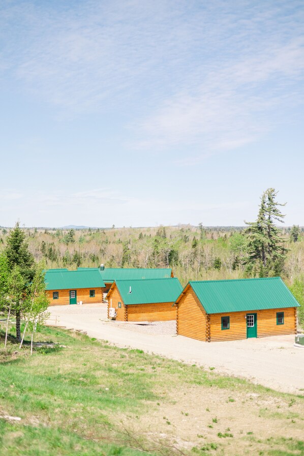 A row of log cabins with green roofs, set in a grassy field with trees and a distant mountain range.