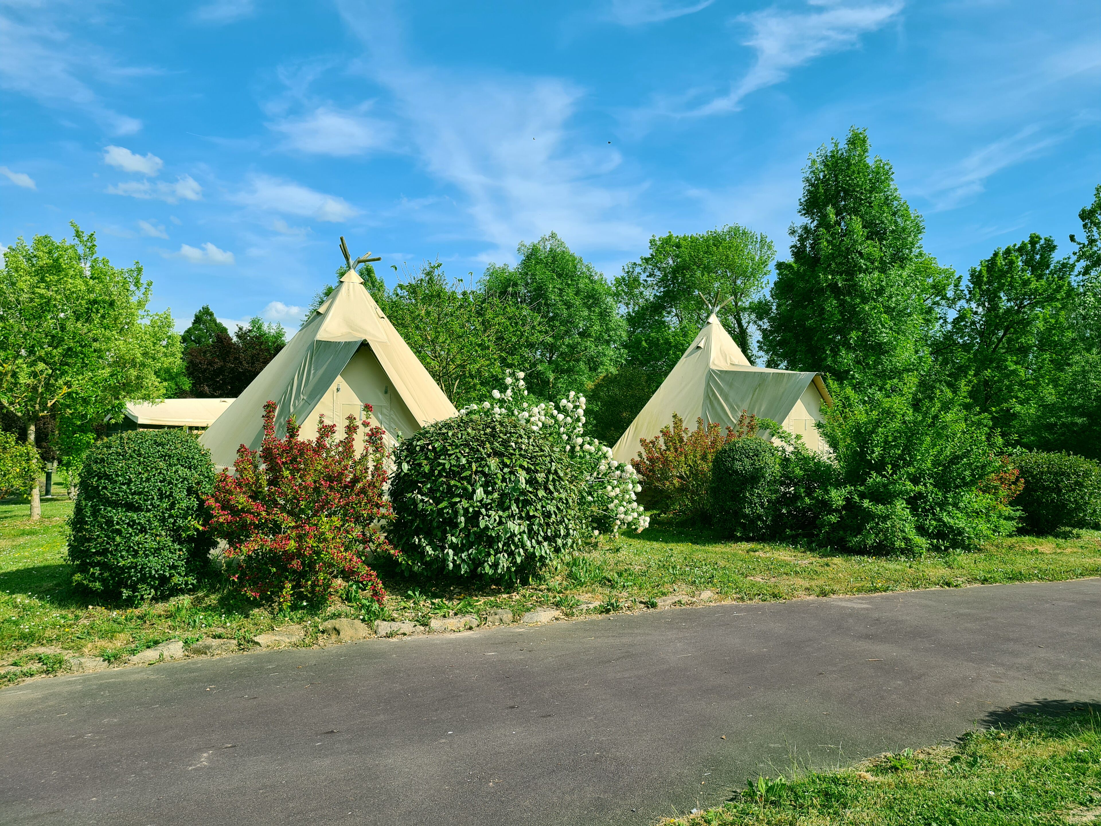 精品帐篷房, 无烟房 | 遮光窗帘、免费 WiFi