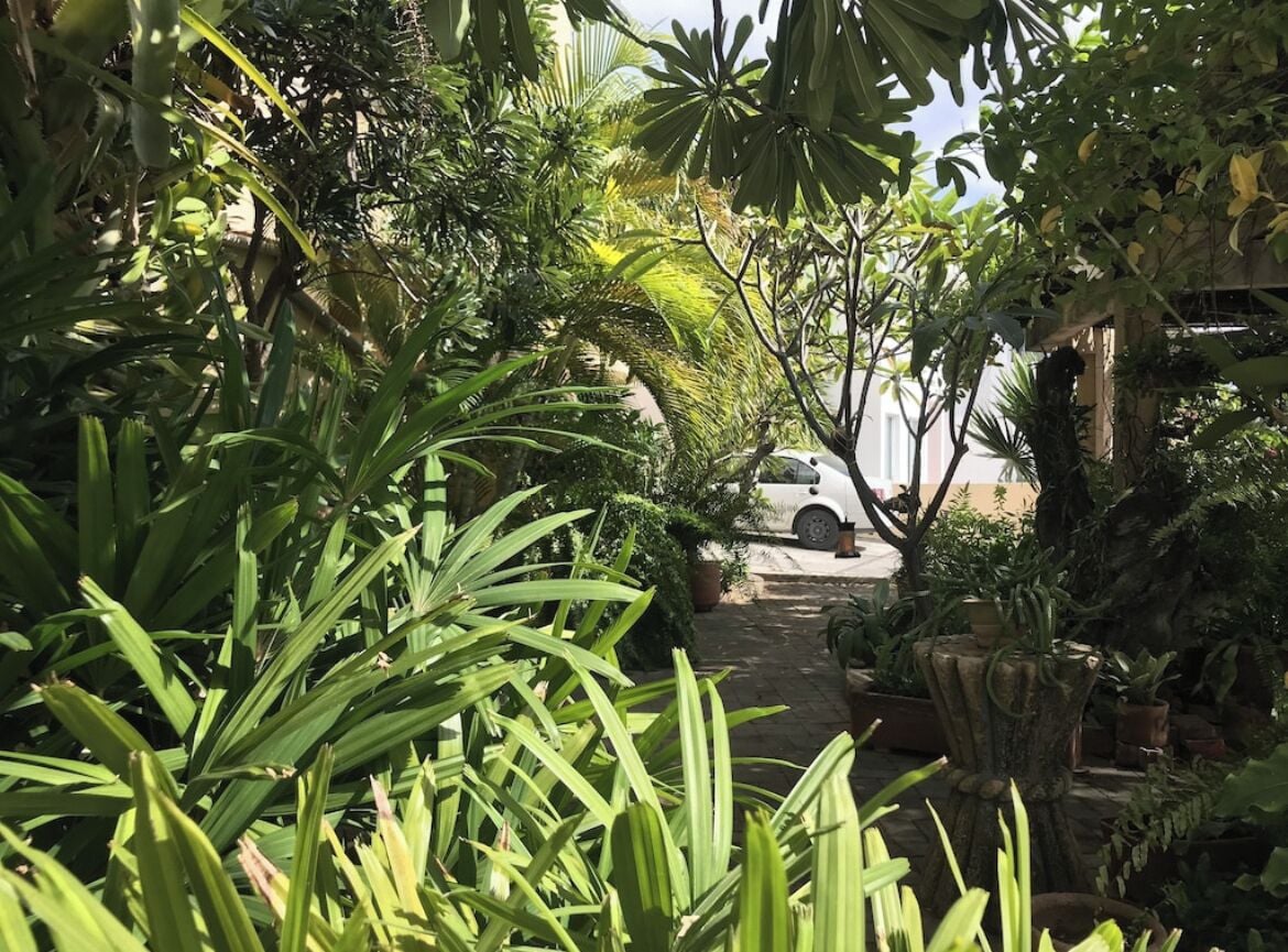 Área da propriedade