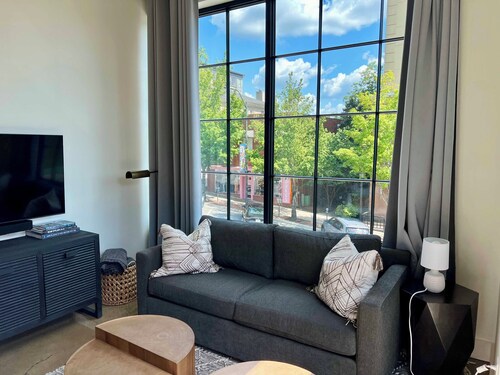 Amazing 1BR Downtown Apartment!