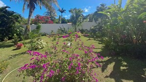 Un jardín con diversas plantas y una palmera.