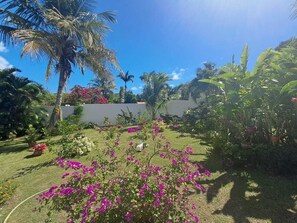 Áreas de la propiedad