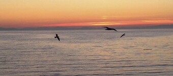 JL607 Hot tub, indoor pool, pet friendly, beach access, amazing sunsets
