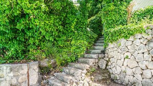 Una escalera de piedra rodeada de abundante follaje verde.