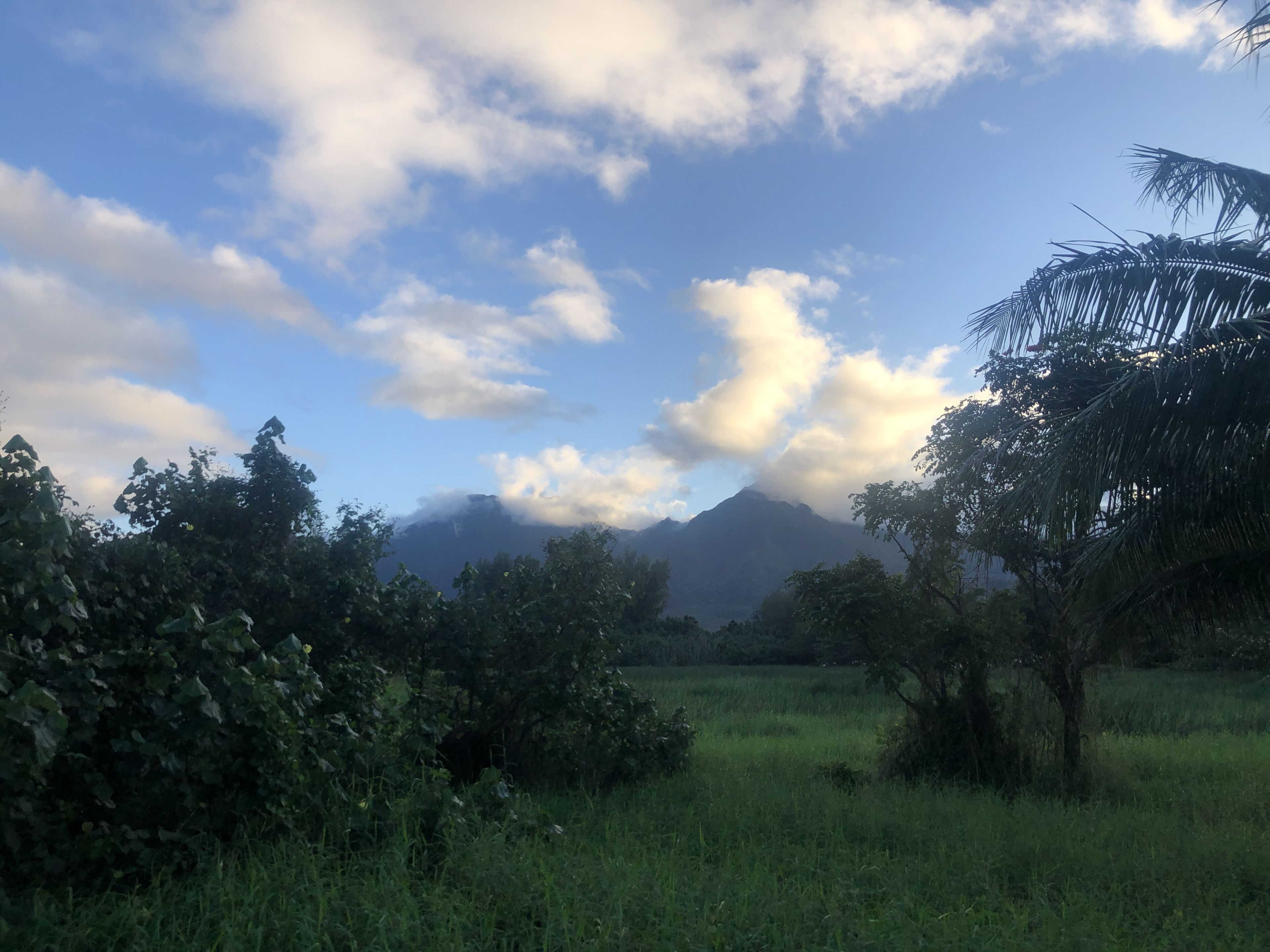 A natural landscape with a mountain in the background, surrounded by greenery and trees.