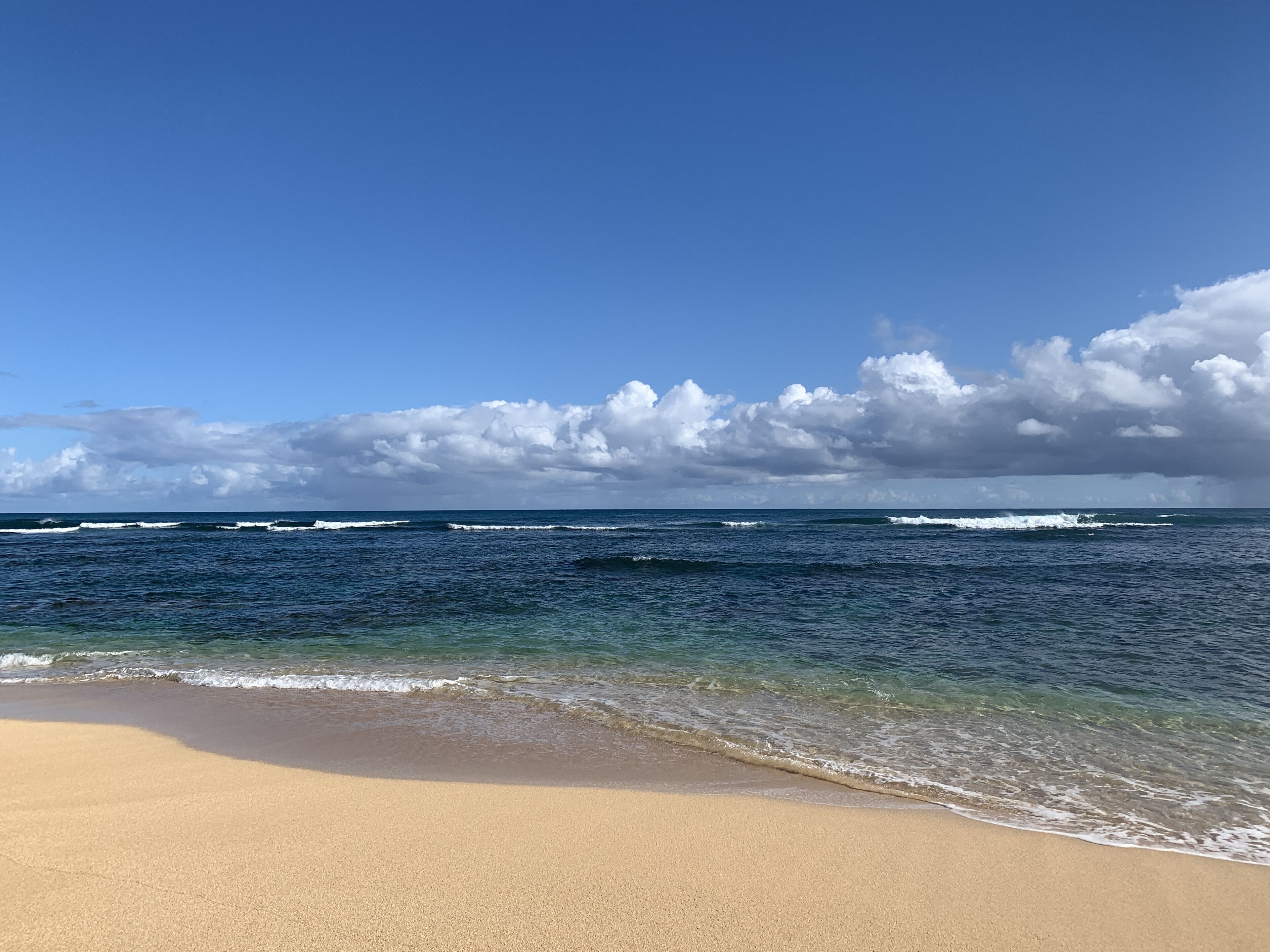 Uma praia com águas azul-claras e uma costa arenosa.