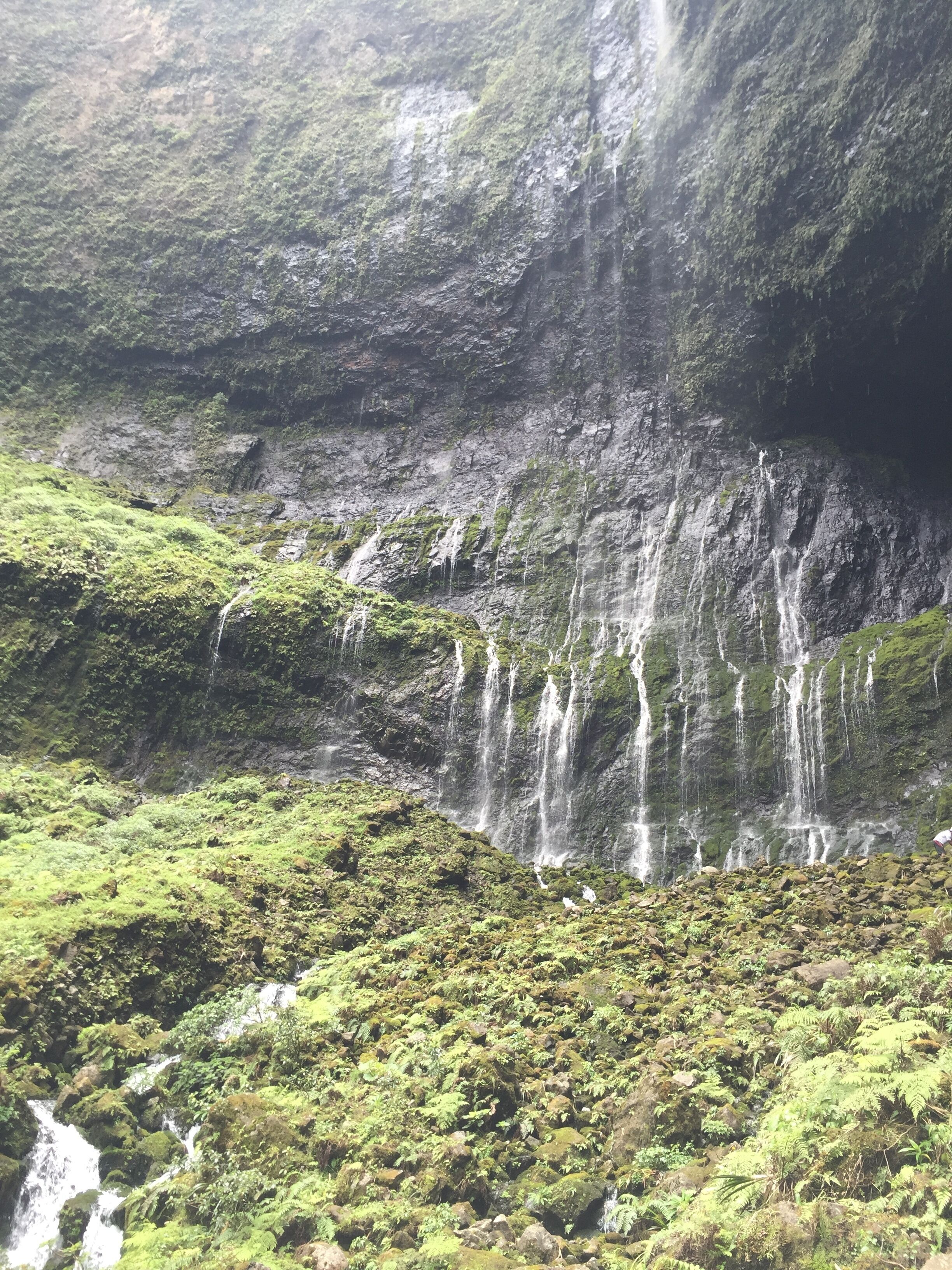 Ein Wasserfall stürzt eine moosbewachsene Klippe hinab.
