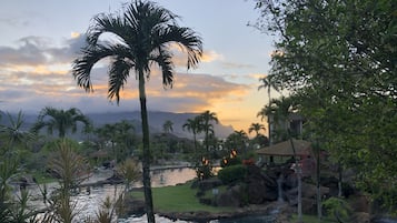 A resort with a pool, palm trees, and a waterfall.