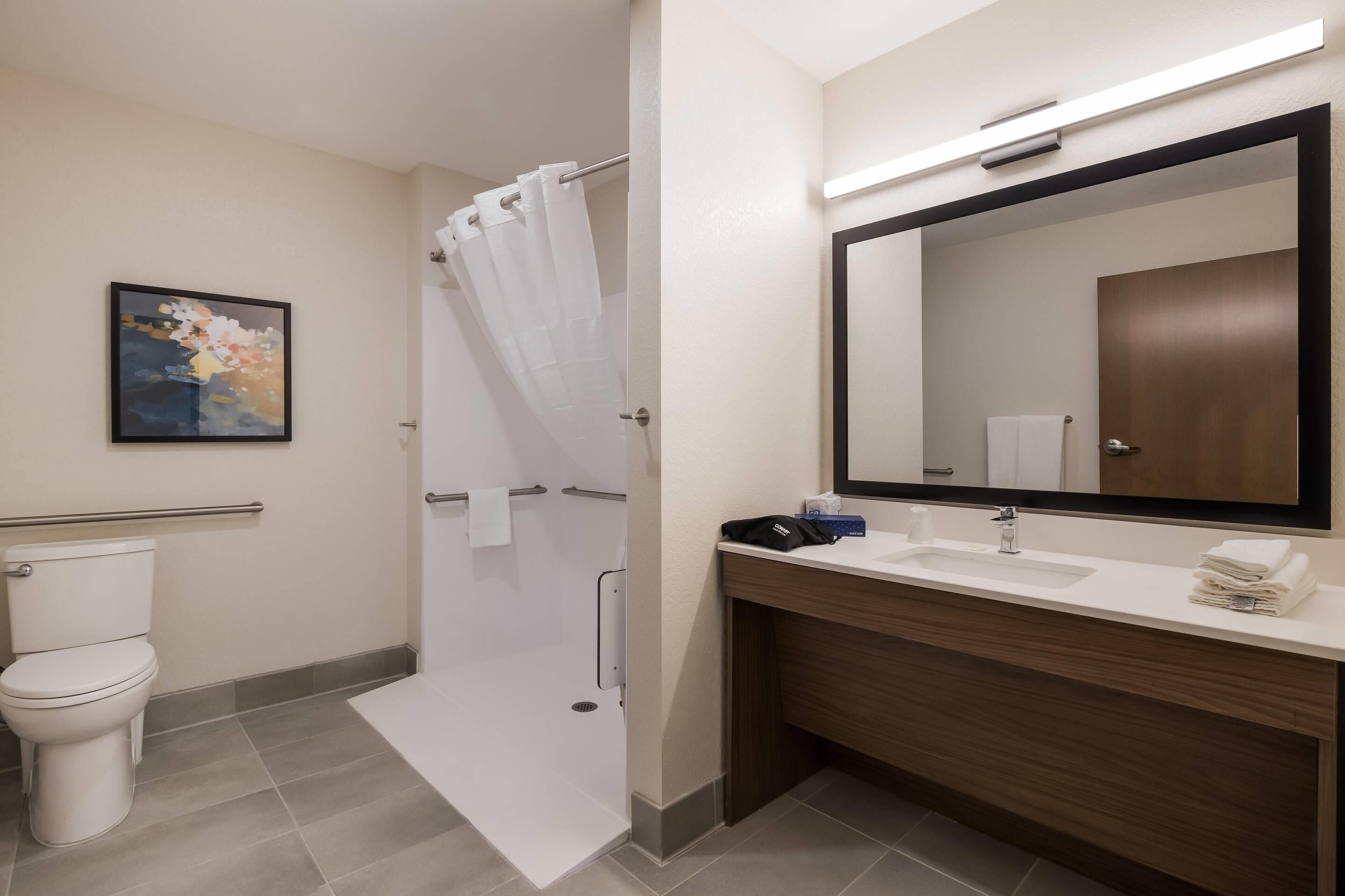 A modern bathroom with a toilet, shower, sink, and a large mirror.