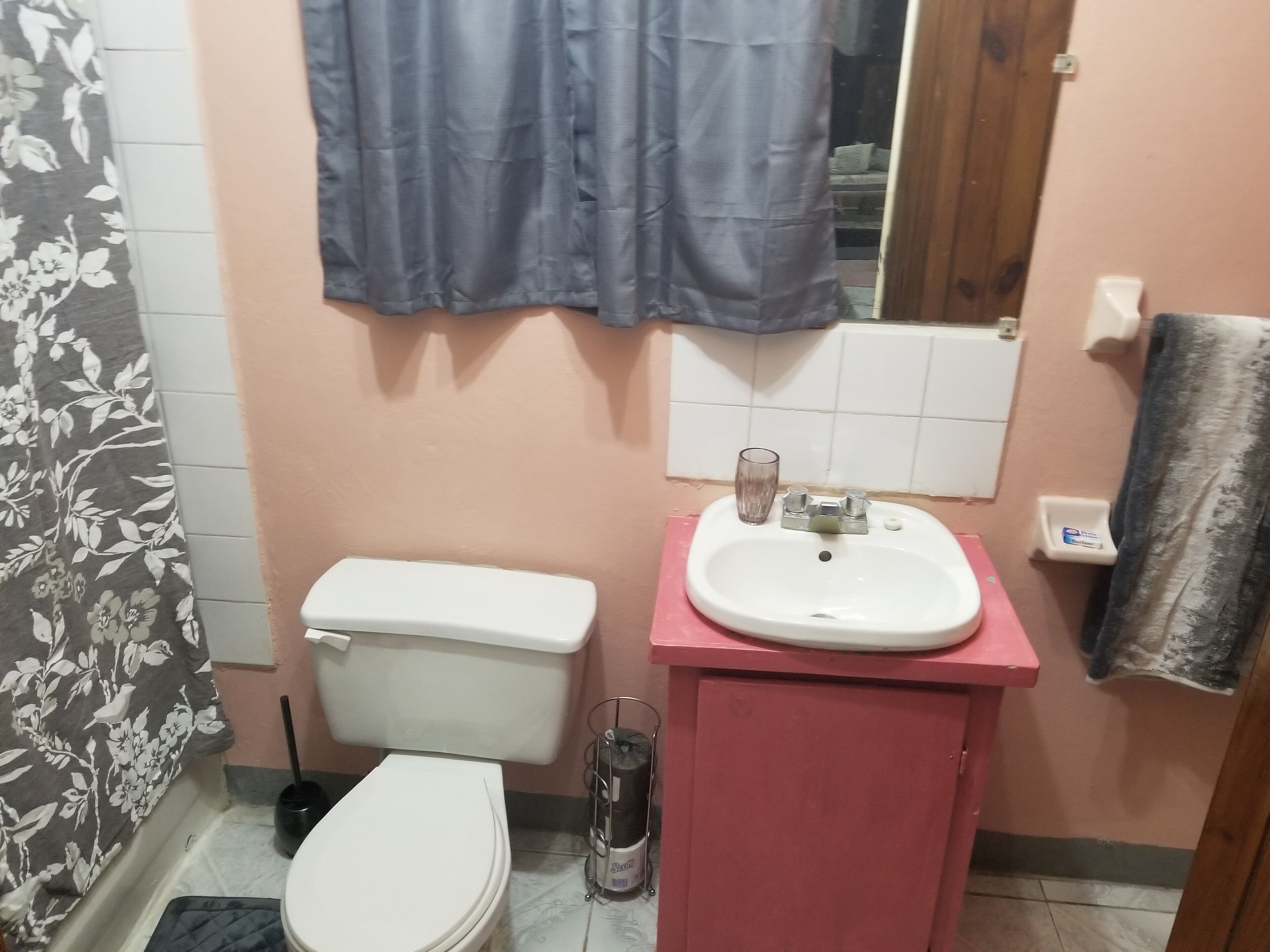 Ein Badezimmer mit Toilette, Waschbecken und Duschvorhang.