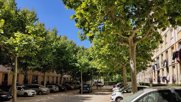 A street lined with parked cars and trees, with buildings on one side. - Renovated apartment (Marseille)