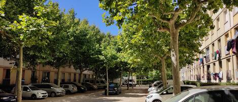 Parco della struttura