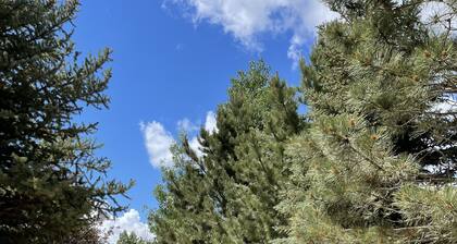 Historic Westcliffe Outpost Penthouse Apt 2bed/2bath