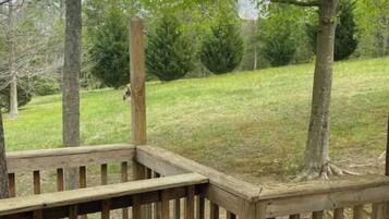 A wooden deck with a railing, surrounded by trees and a grassy field.
