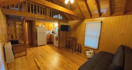 The Peaceful Pine Cabin