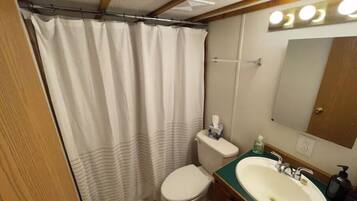 Combined shower/tub, hair dryer, towels, soap