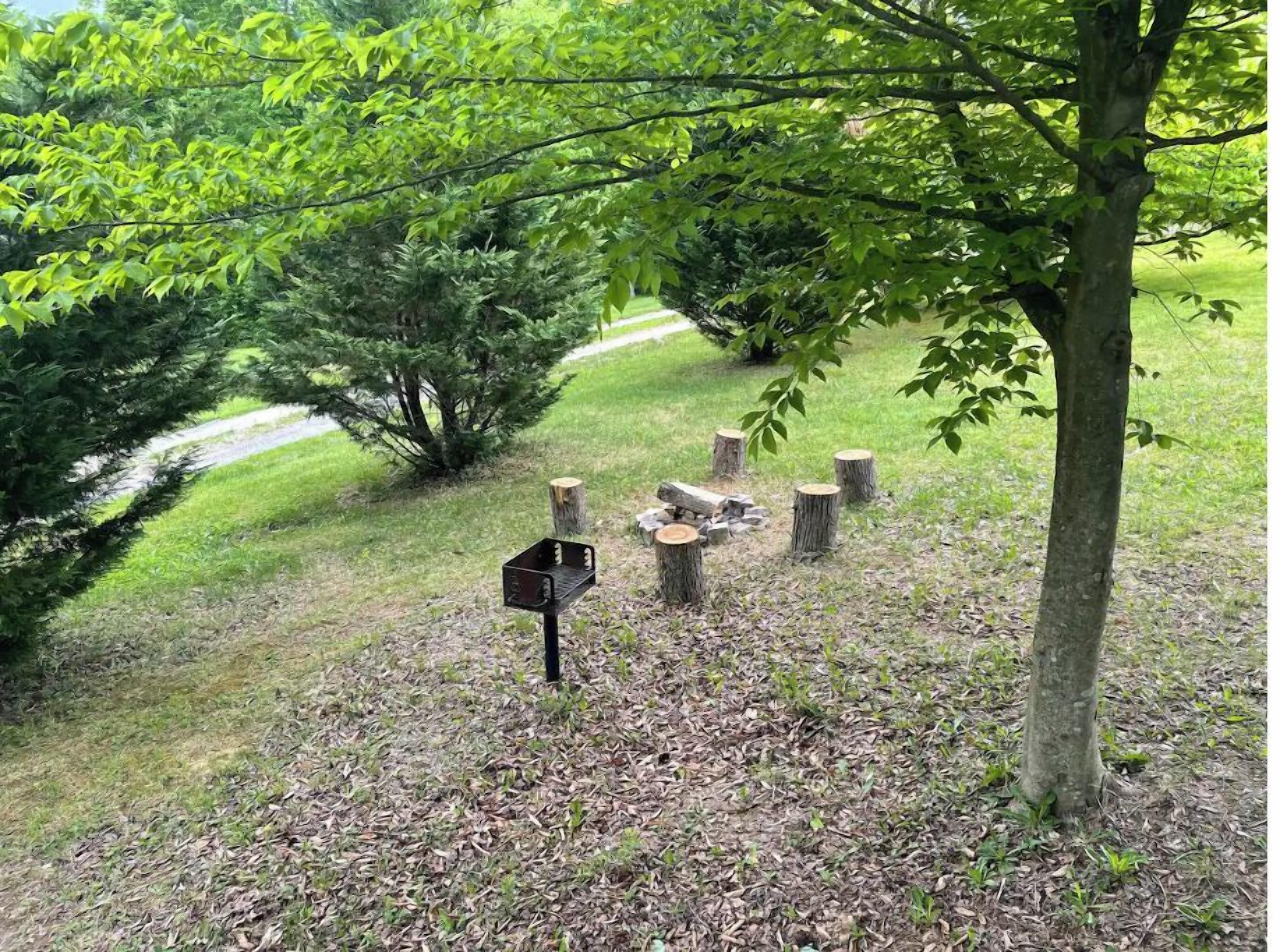 A wooded area with a wooden bench and a mailbox.