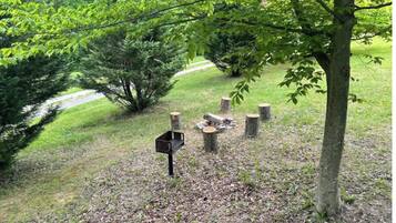A wooded area with a wooden bench and a mailbox.