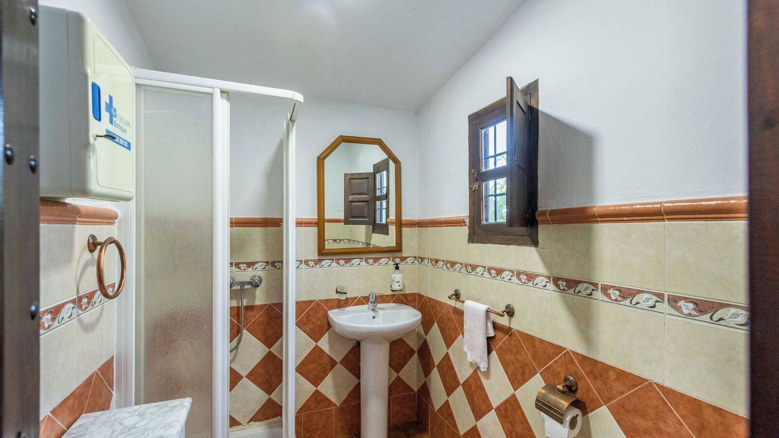 Een badkamer met een witte wastafel, een spiegel en een douchecabine.
