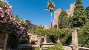 A historic courtyard with stone walls, a palm tree, and flowering plants. - Family house in a quiet university neighborhood (Málaga)