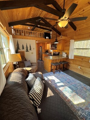 Smart TV, fireplace, DVD player, books - Serenity Ridge Cabin C: Couple's Escape (Mill Spring)