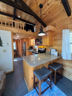 Fridge, microwave, oven, stovetop - Serenity Ridge Cabin C: Couple's Escape (Mill Spring)