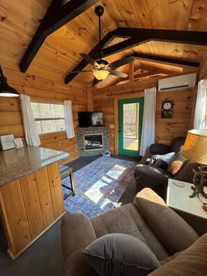 Smart TV, fireplace, DVD player, books