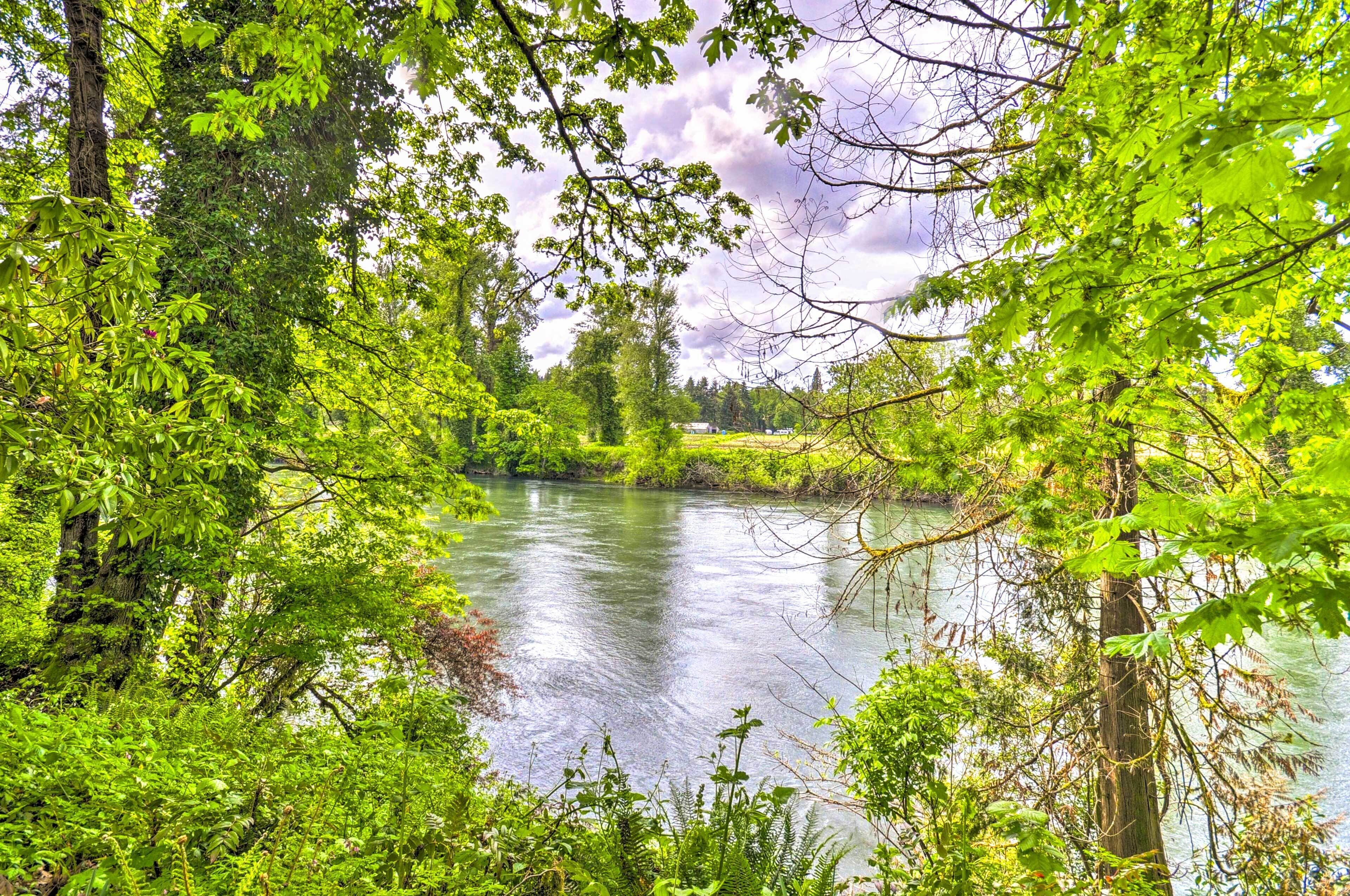 Une rivière bordée d’une végétation luxuriante et d’arbres.