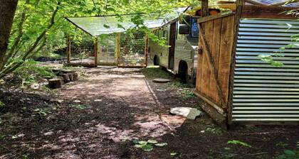 The Wanderbus in Elfendahl forest.