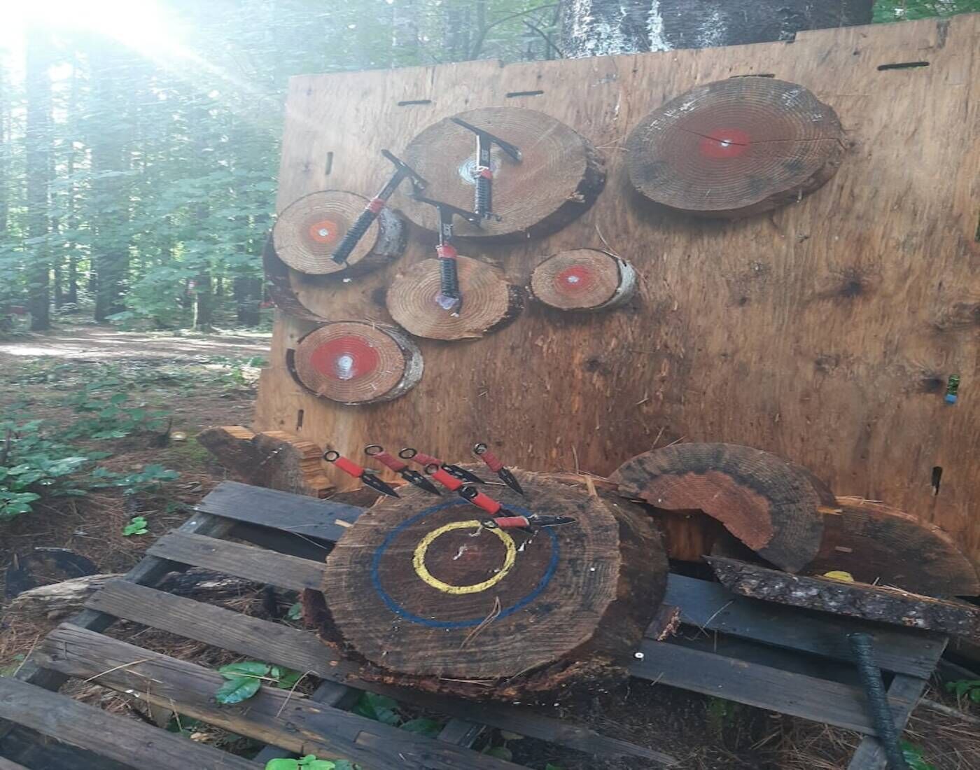 Een houten constructie met meerdere ronde doelen, waarvan sommige een rode kern hebben, en een ladder die erheen leidt.