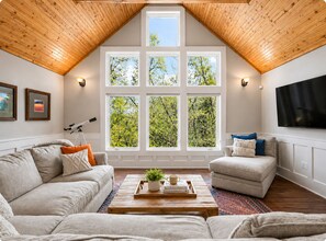 Smart TV, fireplace, books