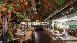 Un restaurante con mesas y sillas de madera, una zona de bar y plantas colgantes.