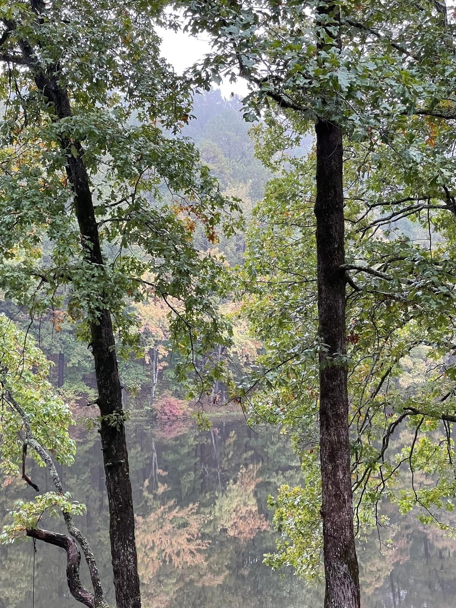 منوع