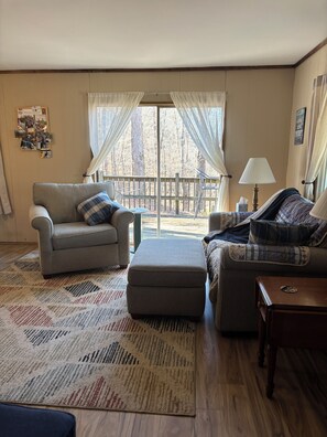 Smart TV, DVD player, video library, stereo