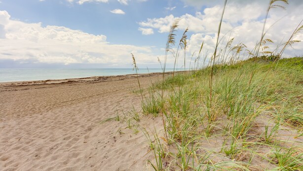 A sandy beach with grass in the foreground and a clear sky. - Idyllic Fort Pierce Retreat - Walk to Beach! (Fort Pierce)