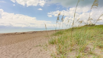 Playa en los alrededores